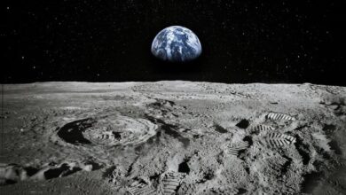 برخورد عظیم سیارک مقصر اصلی است