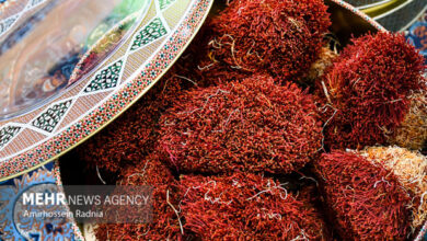 میوه‌های جنگلی؛ طلای پائیزی مازندران