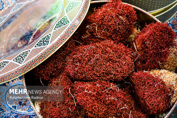 میوه‌های جنگلی؛ طلای پائیزی مازندران