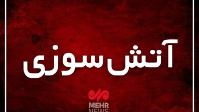 حریق انبار چرم و کفش در شهرک صنعتی کلات