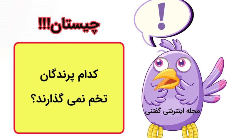 چیستان مخصوص نوابغ 1