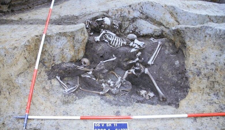 کشف بقایای هفت سرباز / ماجرا از چه قرار است؟ + عکس