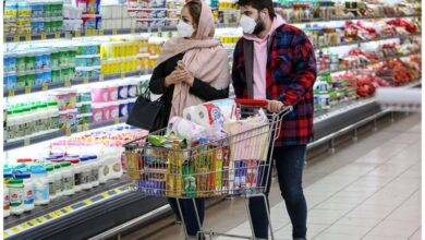 سخنگوی قوه قضائیه عامل گرانی کالاهای اساسی را اعلام کرد