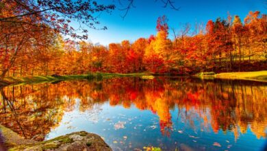 پیش بینی مهم وضعیت آب و هوایی کشور در هفته آینده/آغاز بارش شدید باران در این استان ها