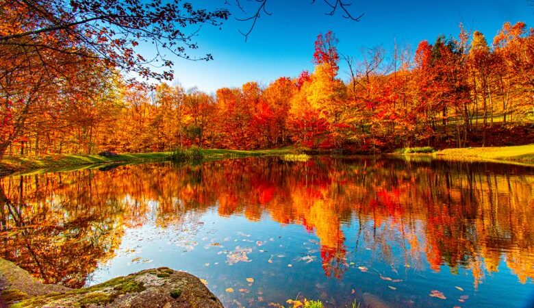 پیش بینی مهم وضعیت آب و هوایی کشور در هفته آینده/آغاز بارش شدید باران در این استان ها