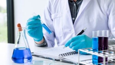 روز نخبه، روز سازندگان فردا