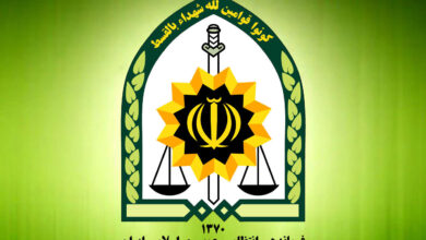 نیروی انتظامی