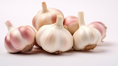 بوی سیر با چی میره - سریعترین راه رفع بوی سیر دهان