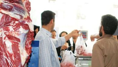 توزیع گوشت قرمز