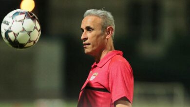 گل محمدی