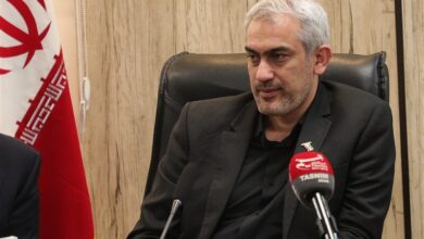 علی مدنی زاده
