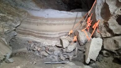 جانوران عصر یخبندان