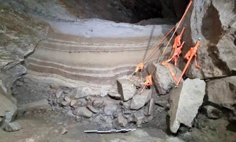 جانوران عصر یخبندان