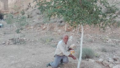 طبیعت دوست جهرمی