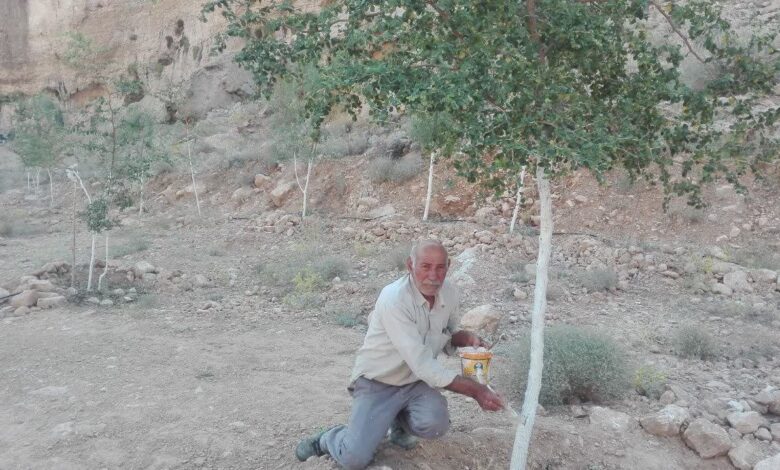 طبیعت دوست جهرمی