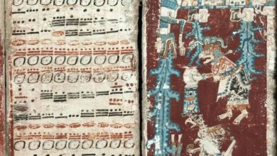 دفترچه ۸۰۰ ساله