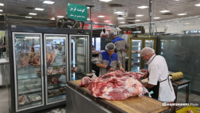 توزیع گوشت دولتی منجمد در میادین میوه و تره بار