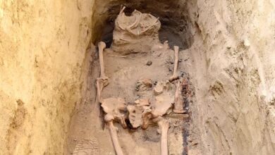 جنگجوی باستانی