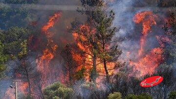 حریق سبزِ «الیت»؛ وقتی ریه‌های زمین خاکستر می‌شوند/ مرور آتش‌سوزی‌های شاخص جنگل‌های ایران در یک دهه اخیر