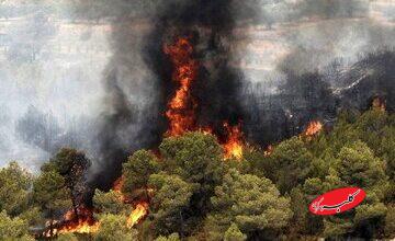 چرا یونسکو در مهار آتش هیرکانی به ایران کمک نکرد؟