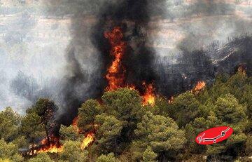 چرا یونسکو در مهار آتش هیرکانی به ایران کمک نکرد؟