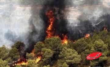 رد پای انسان در آتشسوزی جنگلها محرز شد/ چهکسی الیت را آتش زد؟