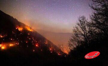 راست قامتان جنگلهای چندمیلیون ساله سوختند و مسئولان ریلکس بودند؛ یکی هم گفت علفزارها آتش گرفته