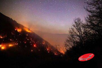 راست قامتان جنگلهای چندمیلیون ساله سوختند و مسئولان ریلکس بودند؛ یکی هم گفت علفزارها آتش گرفته