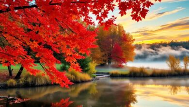 هشدار هواشناسی/ بارندگی شدید و سرما در راه است