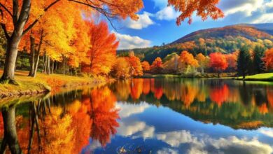 ۱۹ استان در انتظار اولین باران پاییزی+ عکس