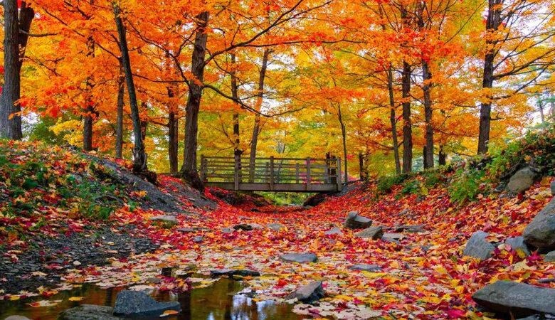 کاهش ۱۰ درجه‌ای دما در ۲۰ استان/ آغاز بارش باران شدید در این استان ها