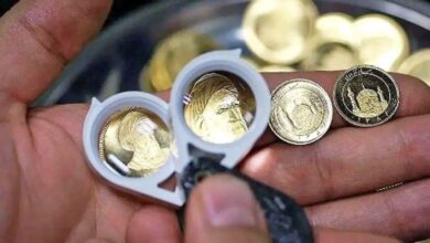 افشاگری بزرگ سخنگوی دولت از پشت پرده حراج سکه