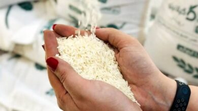 قیمت برنج نجومی شد/ لیست قیمت جدید برنج ایرانی در بازار آبان+ جدول