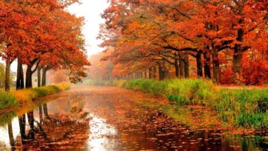 این استانها منتظر بارندگی و کاهش دما باشند / وضعیت هوای کشور تا اواخر آذرماه