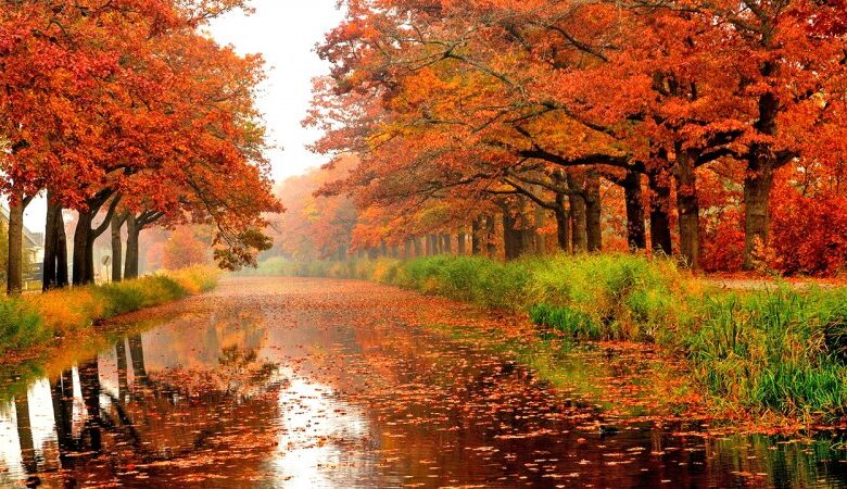 این استان‌ها منتظر بارندگی و کاهش دما باشند / وضعیت هوای کشور تا اواخر آذرماه