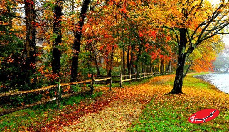 هفته بدون باران از راه رسید/ آلودگی هوا ادامه دارد