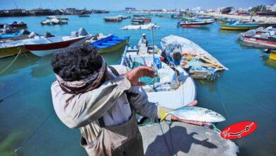 طی یک تصمیم عجیب/ بنادر ماهیگیری ایران واگذار میشود