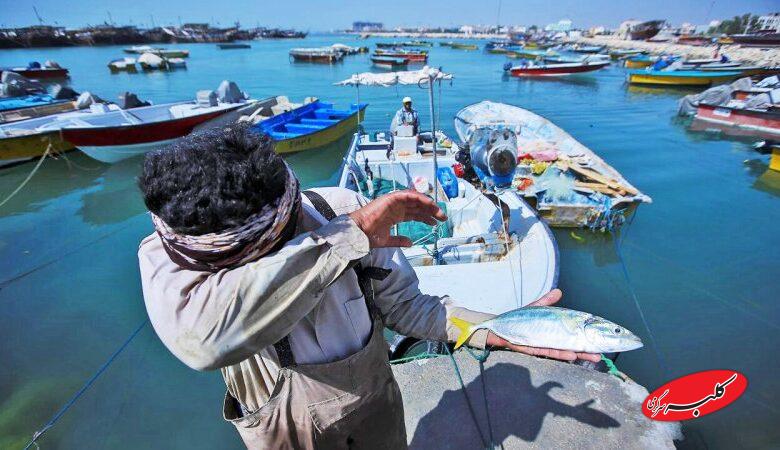 طی یک تصمیم عجیب/ بنادر ماهیگیری ایران واگذار میشود