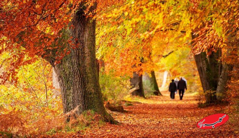 علت اصلی نباریدن باران در ایران اعلام شد؛ این پدیده‌ سمج آسمان ایران را ترک نمی‌کند!