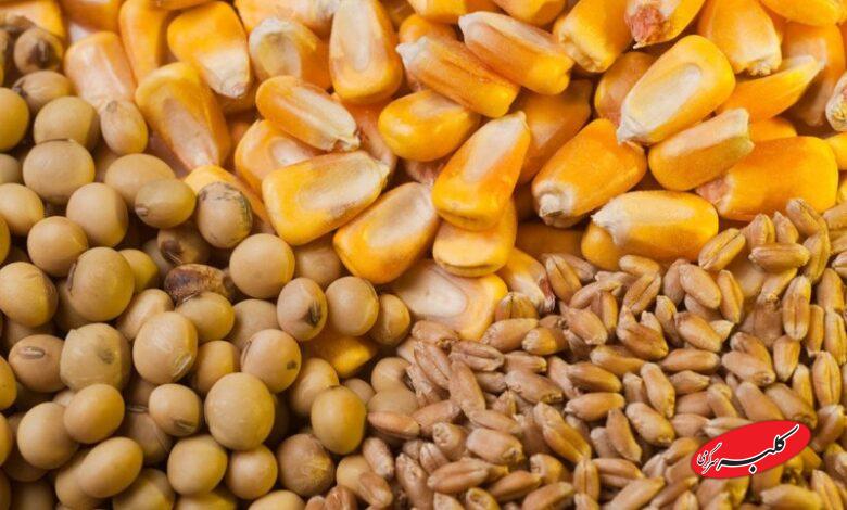 سقف جدید نرخ ارز نهادههای دام و طیور اعلام شد