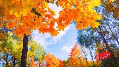 برف و باران شنبه و یکشنبه به این مناطق میرسد/ هشدار جدی برای ساکنان ۱۱ استان