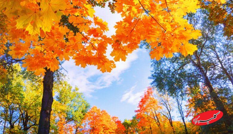 برف و باران شنبه و یکشنبه به این مناطق می‌رسد/ هشدار جدی برای ساکنان ۱۱ استان‌