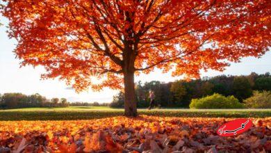 این 11 استان از فردا منتظر باران شدید پاییزی باشند