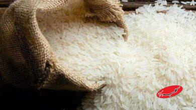 قیمت جدید برنج پاکستانی اعلام شد