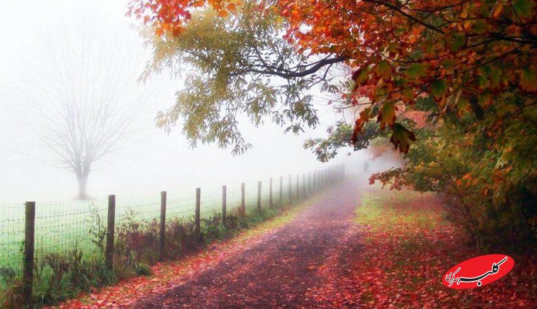 پیش بینی وضعیت هوا تا پایان هفته/ این استان ها بارانی می شوند