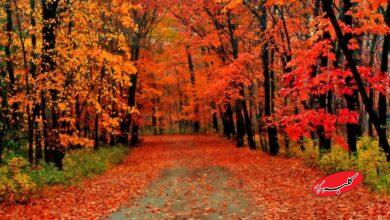 تا این تاریخ خبری از باران پاییزی نیست