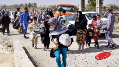 آمار جدید و رسمی اتباع در ایران اعلام شد