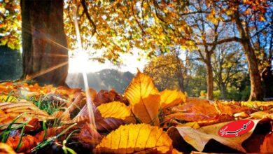 حتی یک قطره باران هم در هیچ نقطه ایران نمی‌بارد