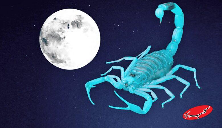 روزهای قمر در عقرب آذر ۱۴۰۴+ کارهای ممنوعه و جدول ساعت