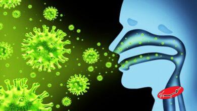 هشدار جدی به همه مردم ایران / ویروس جدید شیوع پیدا کرد